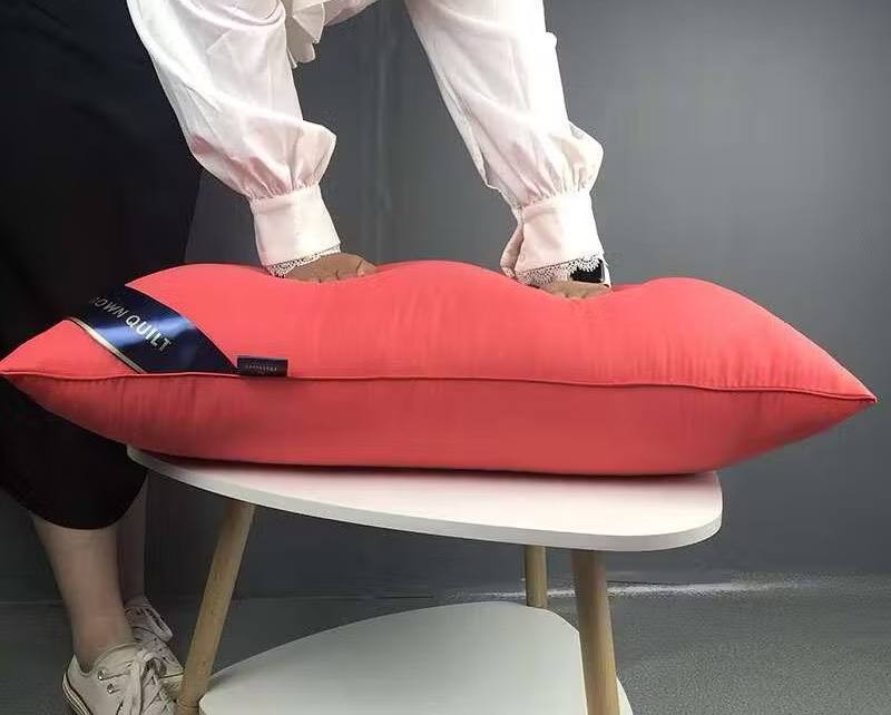 B.S.B 1Kg/1000g Sleeping hilton Pillow Viral